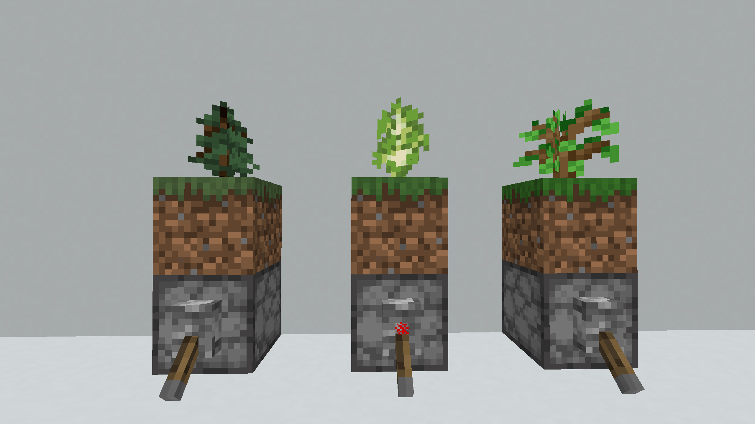 flash plant Fire Flash - Exquisite Spider-like Foliage