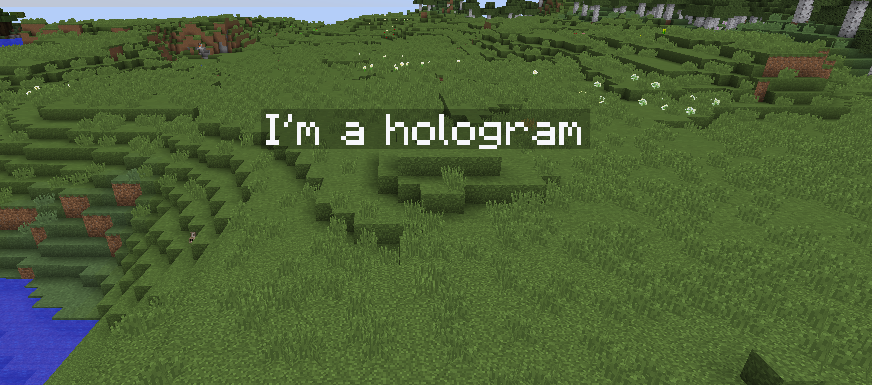 Holograms